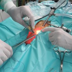 anestesia-en-laparoscopia-veterinaria